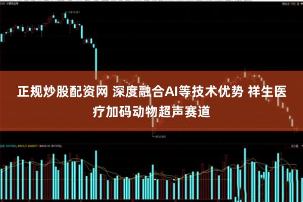 正规炒股配资网 深度融合AI等技术优势 祥生医疗加码动物超声赛道