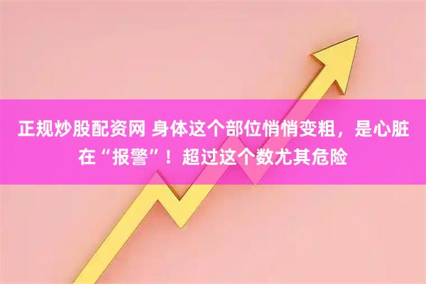 正规炒股配资网 身体这个部位悄悄变粗，是心脏在“报警”！超过这个数尤其危险