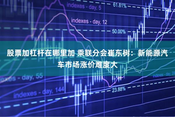 股票加杠杆在哪里加 乘联分会崔东树：新能源汽车市场涨价难度大