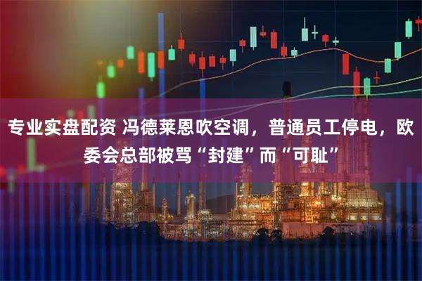 专业实盘配资 冯德莱恩吹空调，普通员工停电，欧委会总部被骂“封建”而“可耻”