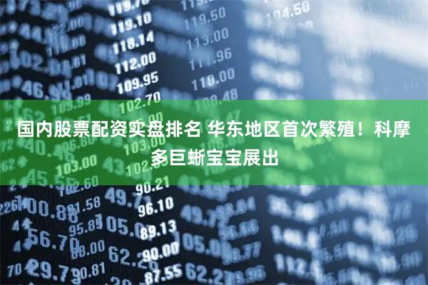 国内股票配资实盘排名 华东地区首次繁殖！科摩多巨蜥宝宝展出